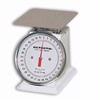 Detecto PT-500-SRK Petite Top Loading Dial Scale, 500 g x 2 g, Stainless