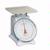 Detecto T-5-S Top Loading Dial Scale, 5 lb x 1/2 oz, Stainless