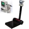 Rice Lake 211285-882IS Deckhand Legal For Trade Portable Bench Scale with 882IS Indicator 500 x 0. Rice Lake 211285-882IS De
