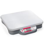 Ohaus C11-P9 Catapult 1000 Bench Scales  20 x 0.01 lb