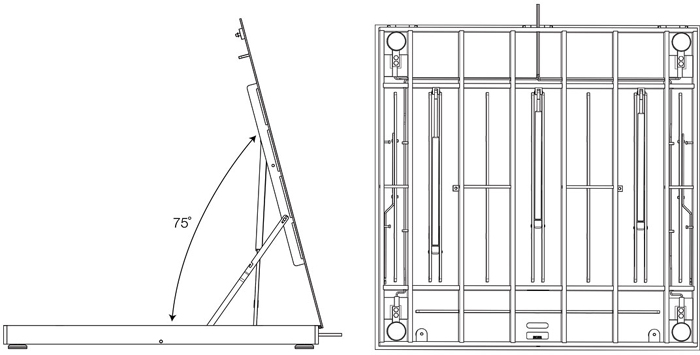 Scale Dims