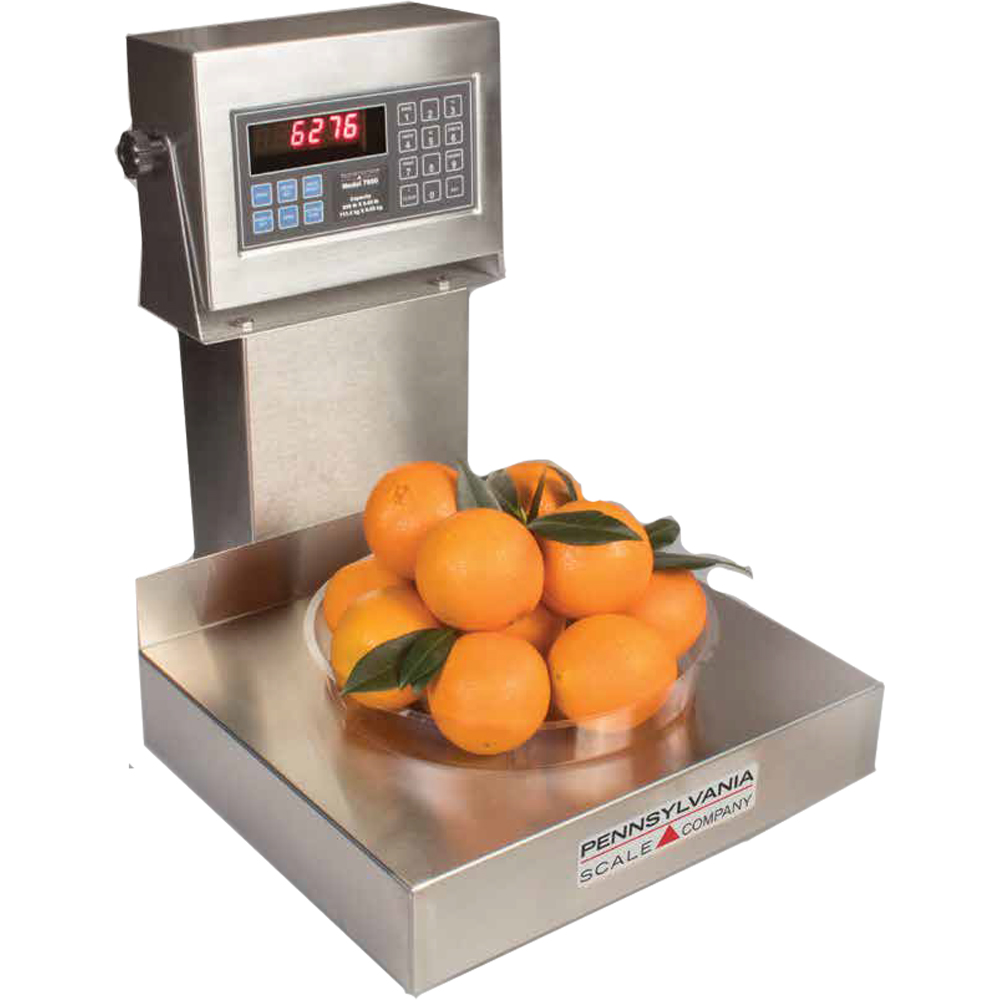 Pennsylvania Scale 6200 Legal for Trade Checkweigher & Bench-Scale Scales