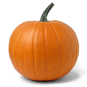 pumpkin scale