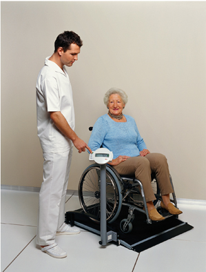 seca 664 digital wheelchair scale