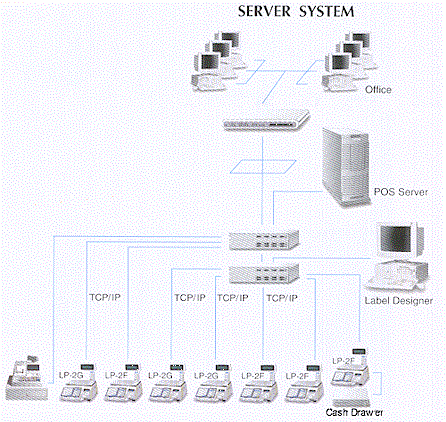 Server System