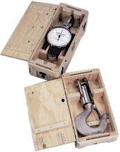 Dillon AP crane scales storage boxed